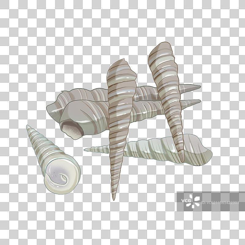 钉螺手绘插画图片素材