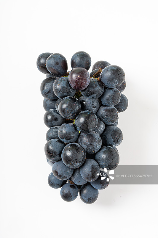 夏黑葡萄白底图图片素材