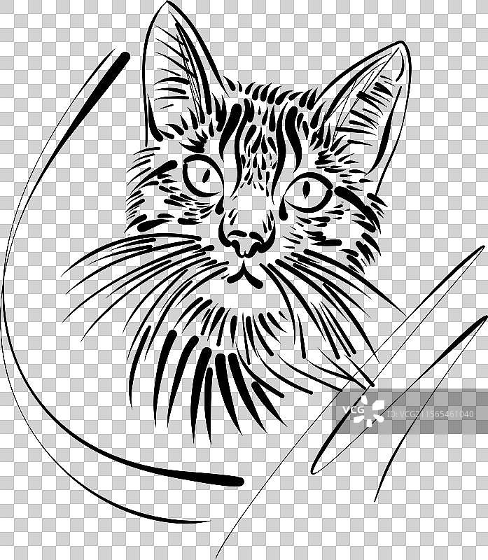 风格化小猫脸的素描图片素材