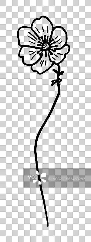 单线极简风格的单色宇宙花图片素材