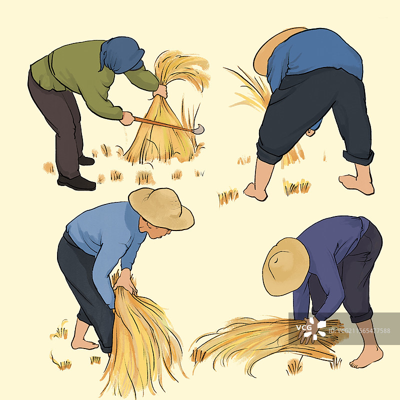 秋日丰收农忙农民收割水稻小麦图片素材