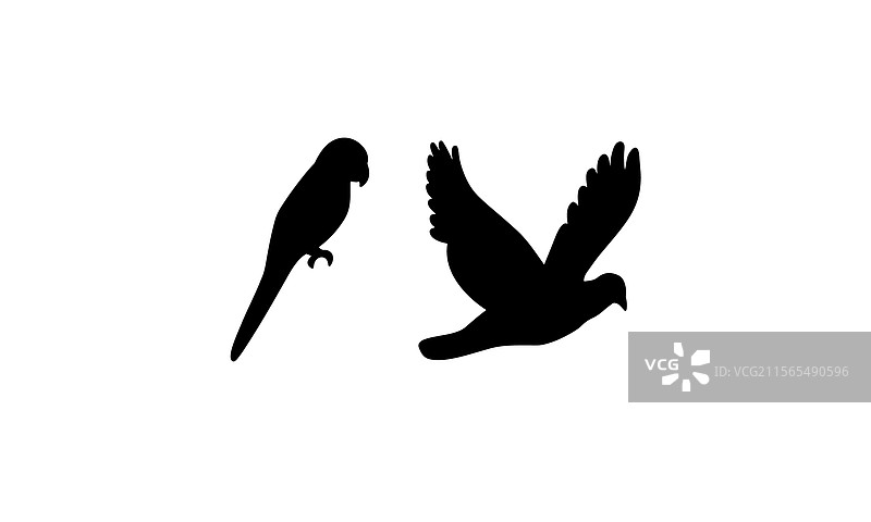 飞翔的鸟和可爱的鹦鹉剪影图片素材