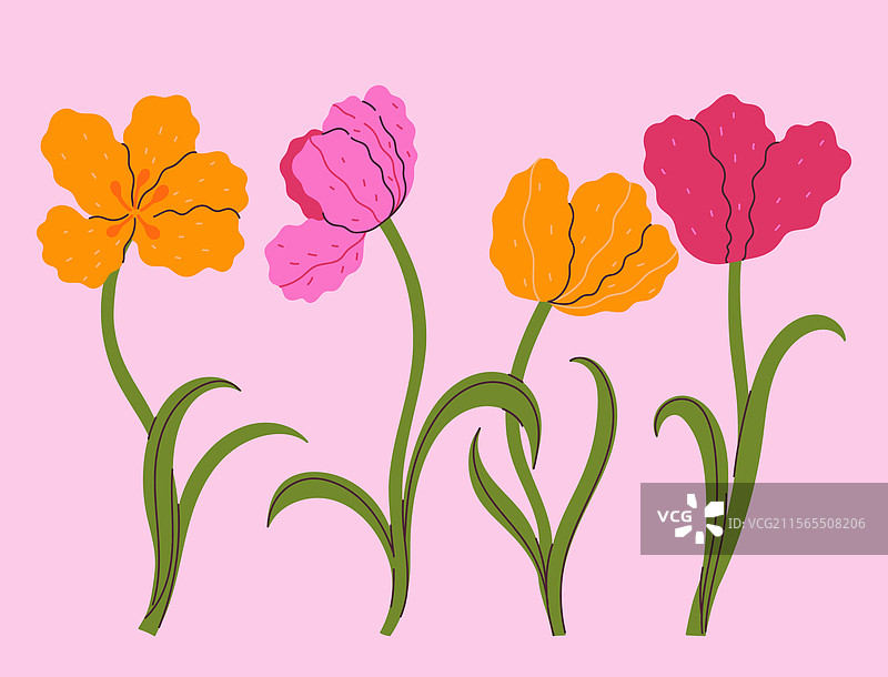 粉色和黄色郁金香的明信片或海报图片素材