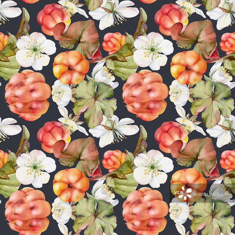 云莓和覆盆子与白色花朵的秋天图片素材