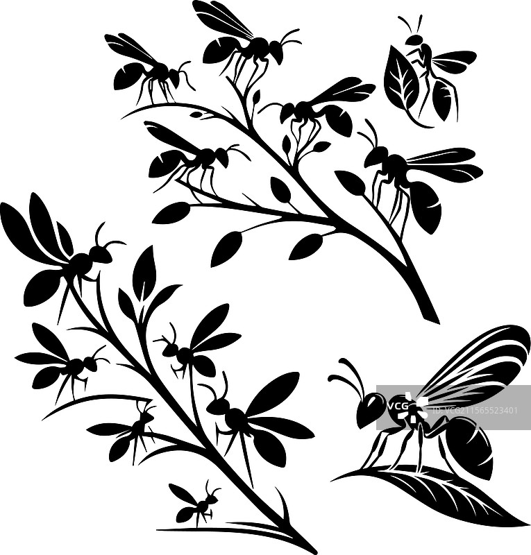 风格化的黑蚂蚁图案和剪影图片素材