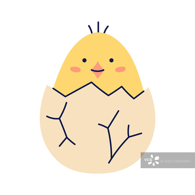 可爱的小鸡从蛋壳里孵化出来，探出头来。图片素材