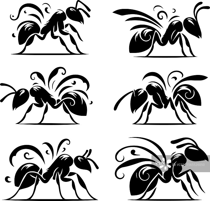 风格化的黑蚂蚁图案和剪影图片素材