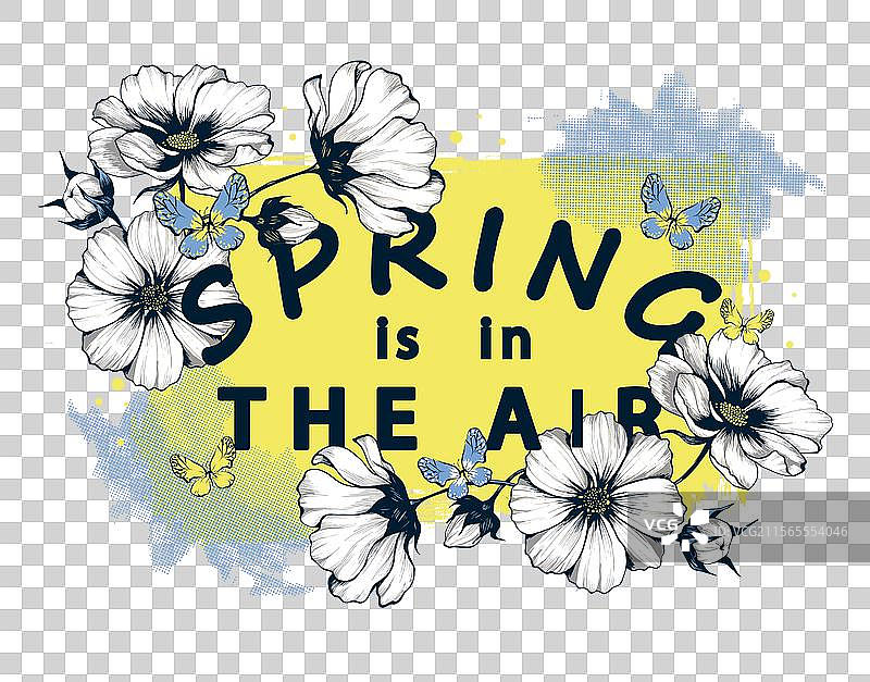 白色大波斯菊花与标语“春天的气息”图片素材