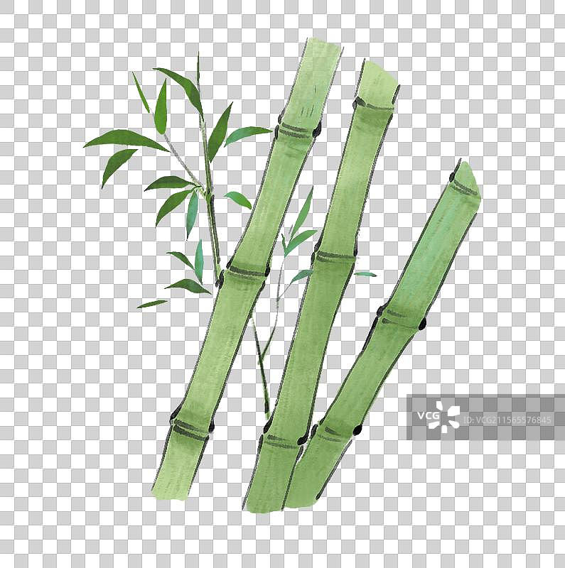 竹子国风插图图片素材