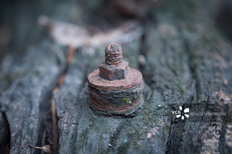 中国广东汕尾市区小岛旅游风景区图片素材