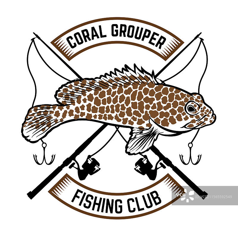 珊瑚石斑鱼图片素材