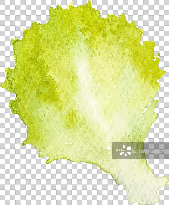 水彩画的沙拉 手绘新鲜食物图片素材