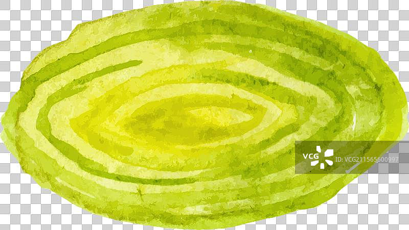 手绘水彩布鲁塞尔芽菜图片素材