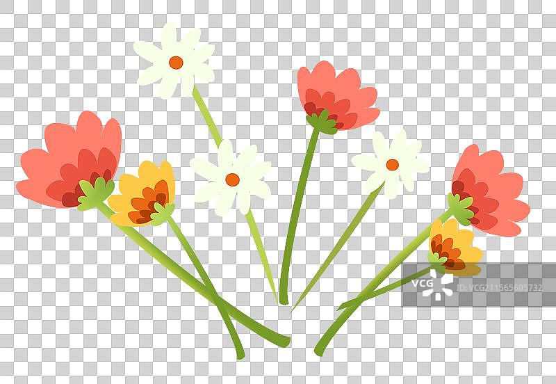 植物花卉，扁平风格的植物群，盛开的野花元素图片素材