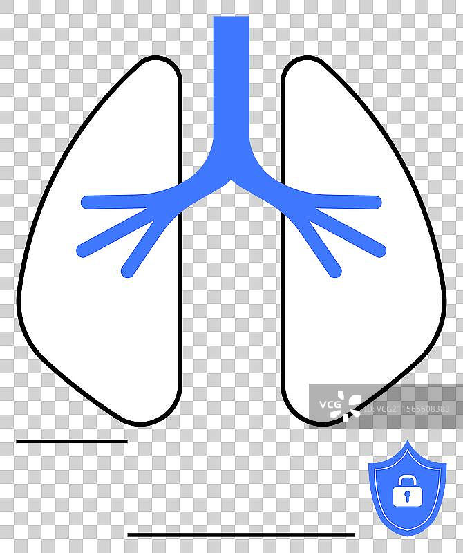 带有气道分支和盾牌图标的肺部示意图图片素材