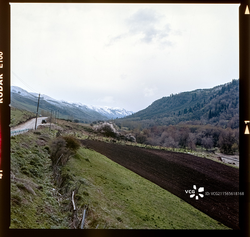 库尔德宁草原（反转片）图片素材