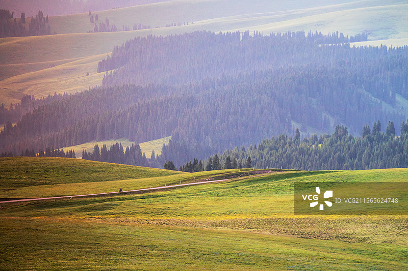 新疆伊犁特克斯喀拉峻草原春夏景色图片素材