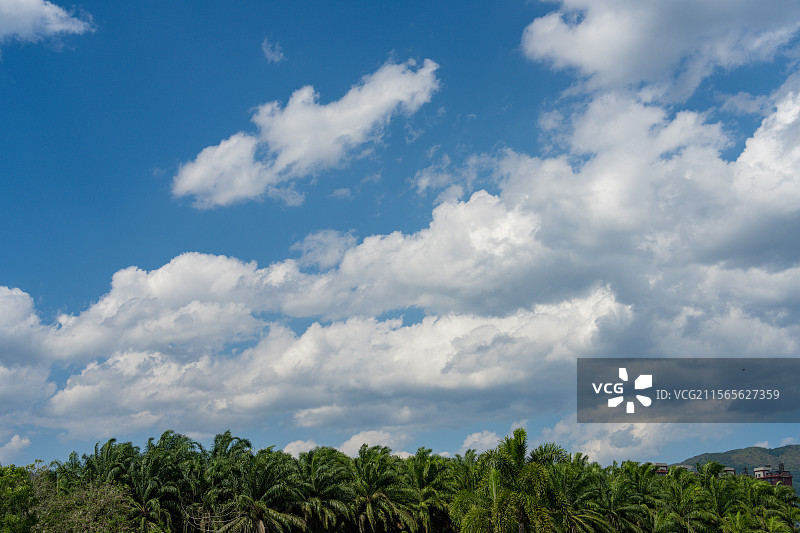 蓝天绿树间的白云景致图片素材