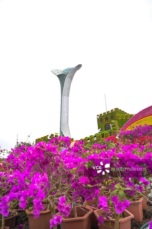 沈阳植物园百合塔图片素材