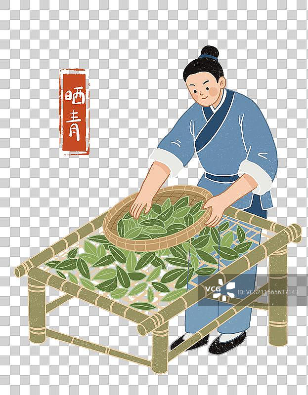 传统工艺之手工晒青场景图片素材