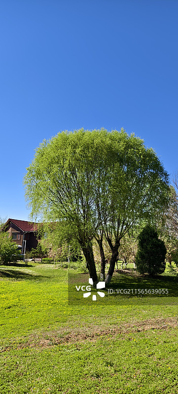唐山市路南区南湖袋鼠房车露营地图片素材