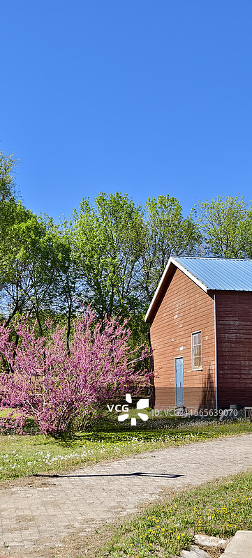 唐山市路南区南湖袋鼠房车露营地～樱花盛开图片素材