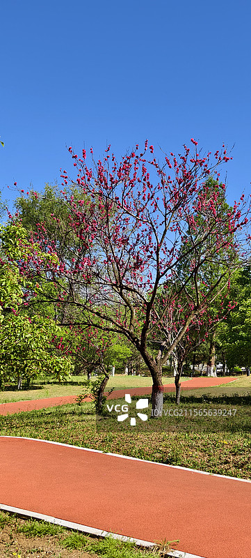 唐山市路南区南湖袋鼠房车露营地～跑步步道图片素材