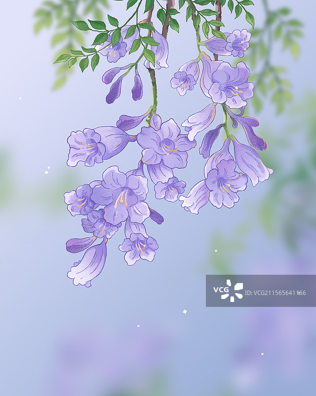 插画春天蓝花楹图片素材