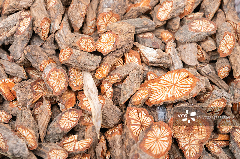 中草药图片素材