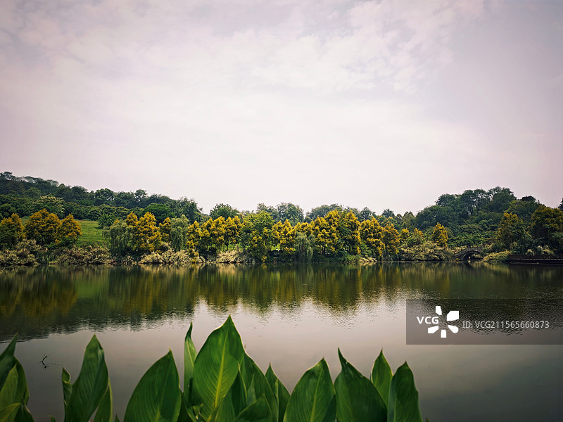 泸州张坝桂圆林公园图片素材