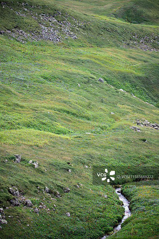 长白山西坡的高山草甸与溪流图片素材