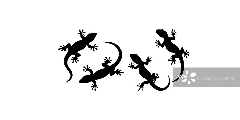 蜥蜴剪影图片素材