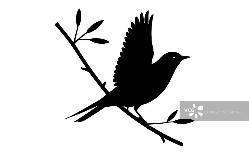树枝上的鸟与白色背景的图像图片素材