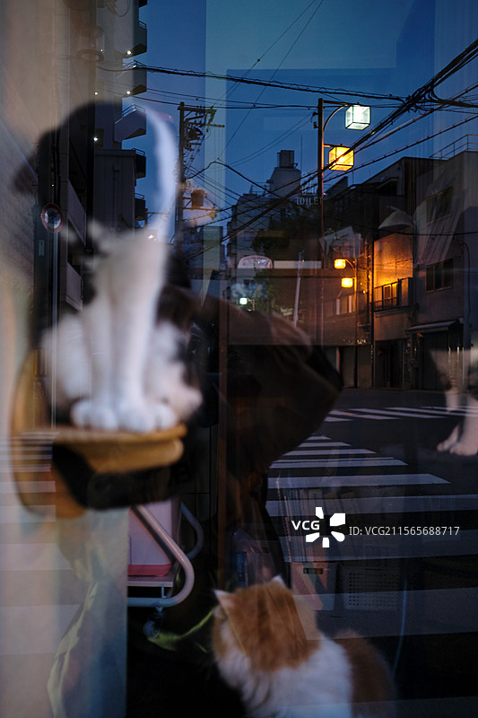 日本街道图片素材