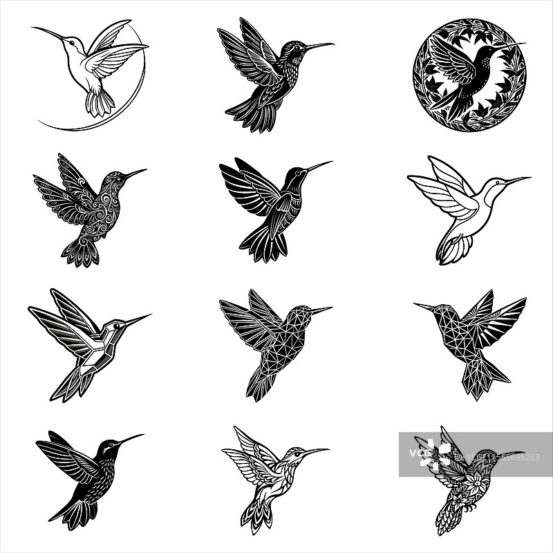 赤喉蜂鸟图片素材