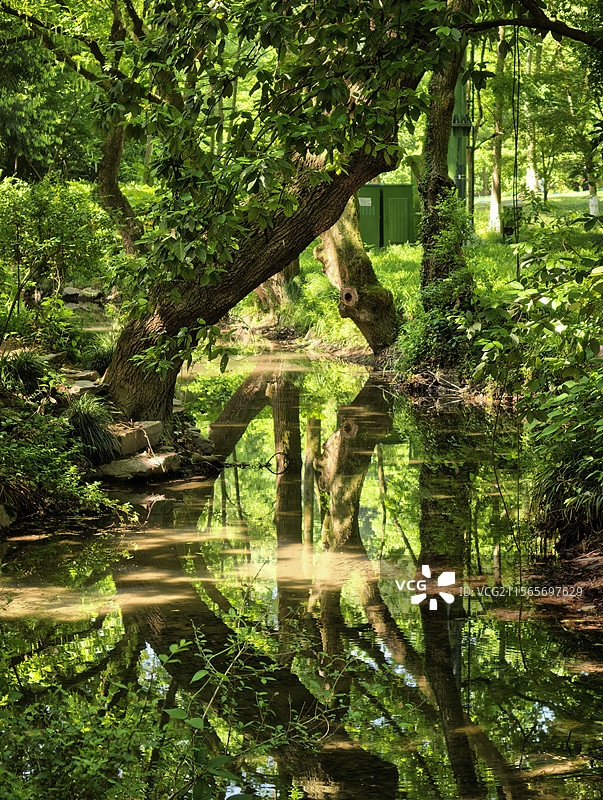 杭州九溪 九溪烟树春天景色，小溪流水绿树倒影，流水瀑布，绿树成荫，护眼壁纸图片素材