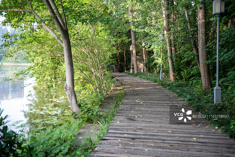 汉阳月湖公园环湖绿道图片素材