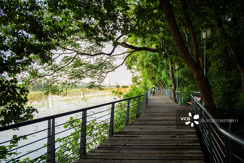 汉阳月湖公园环湖绿道图片素材