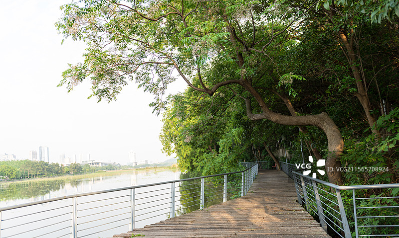 汉阳月湖公园环湖绿道图片素材