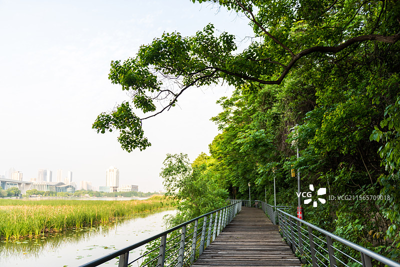 汉阳月湖公园环湖绿道图片素材