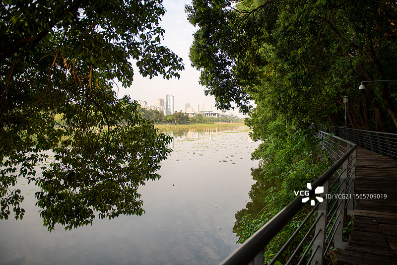 汉阳月湖公园环湖绿道图片素材