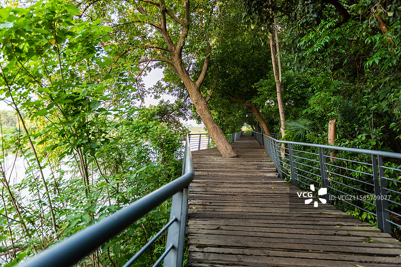 汉阳月湖公园环湖绿道图片素材