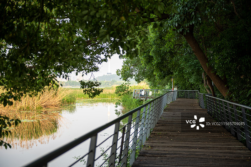 汉阳月湖公园环湖绿道图片素材
