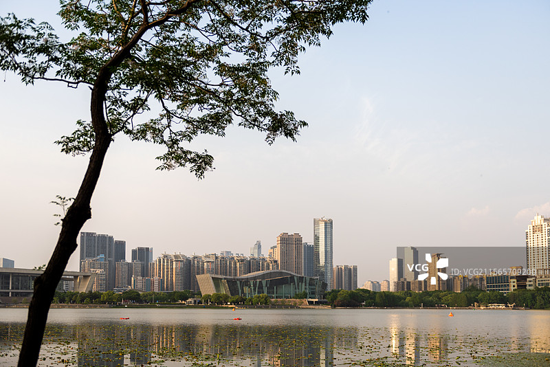 汉阳月湖公园图片素材