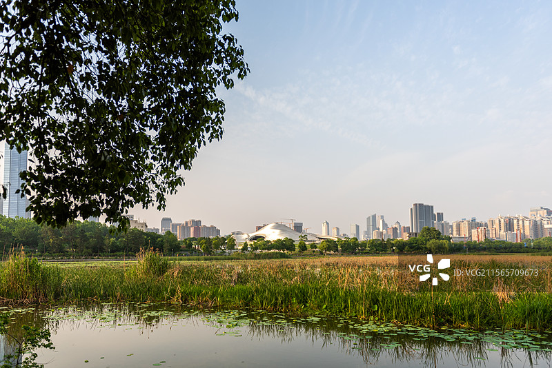 汉阳月湖公园图片素材