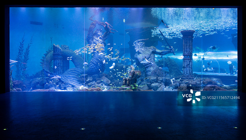 无人的水族馆图片素材