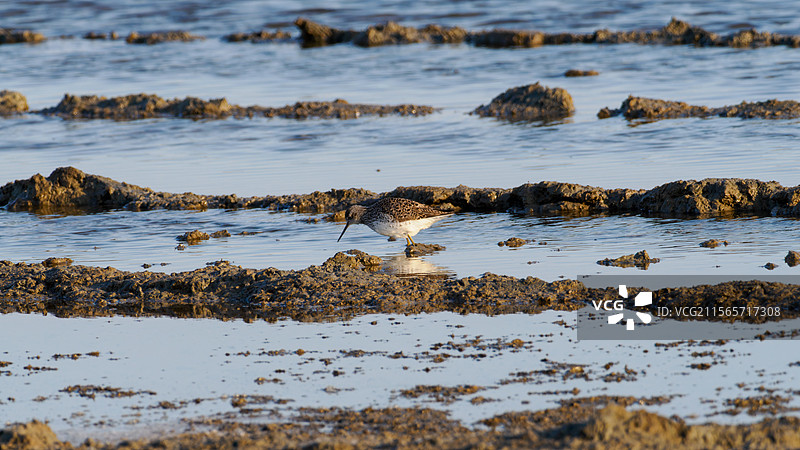 天津汉沽盐场图片素材