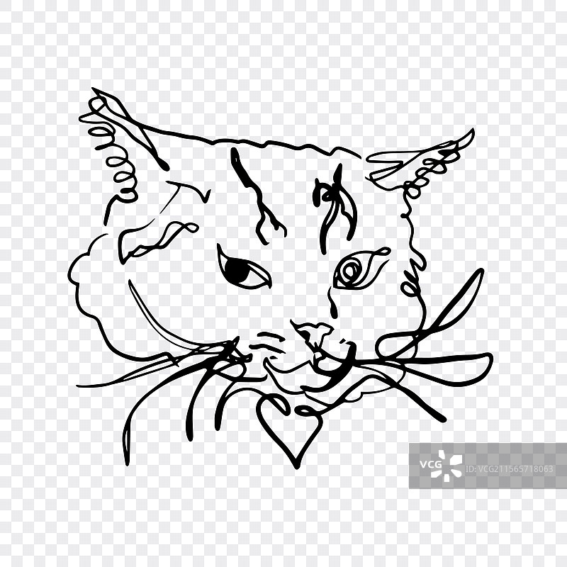 抽象的猫脸线条画图片素材