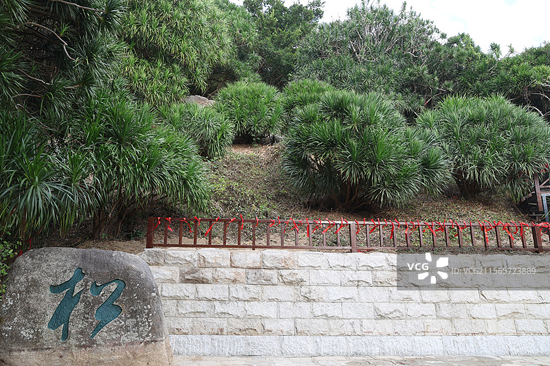 南山不老松，大小洞天，三亚，道教，热带海景图片素材