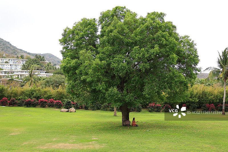 南山景区，三亚，图片素材
